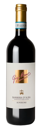 Gigi Rosso Barbera D'Alba Superiore